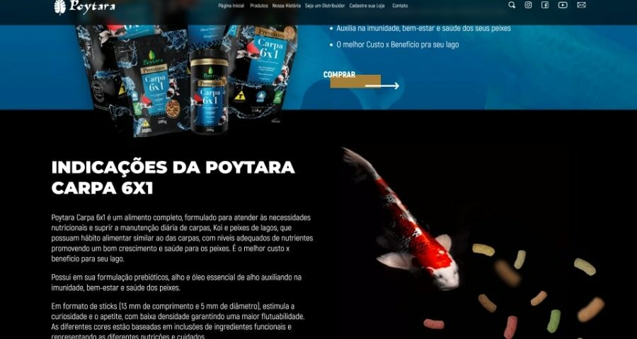 Imagem Segundo Bloco Página de Produto Poytara